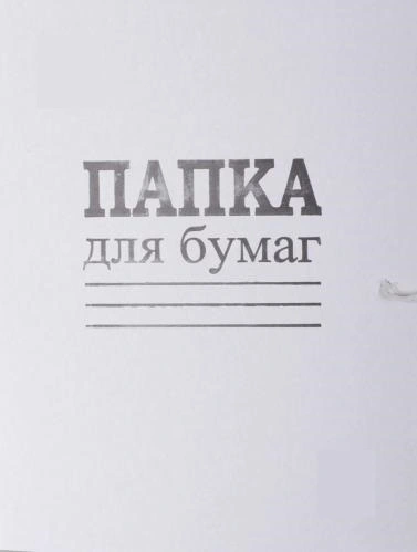 Папка картонна на зав'язках DK "Справа ЕКО" A4 (DK006)