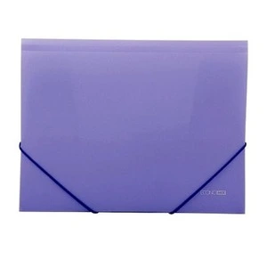 Папка пластикова А4 на гумках Economix, фактура "помаранч", фіолетова **