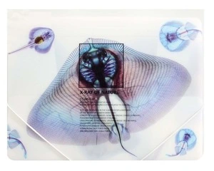 Папка на гумках Optima X-RAY асорті A4 600 мкм. (O30697)