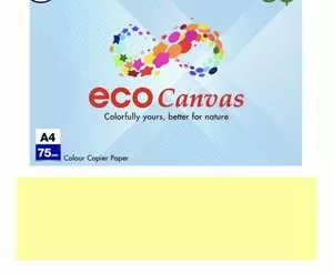 Папір кольоровий ECO Canvas Yellow  А4 75г/м2 жовтий  пастельний  500 арк. (16.7486)