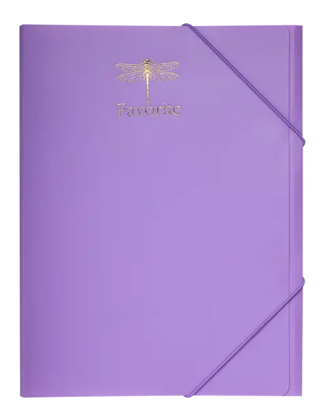Папка на гумках FAVOURITE PASTEL A4 бузковий 750 мкм (BM.3954-26)