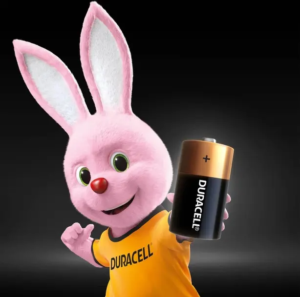Батарейки R14 Duracell (У-019089). Фото 3