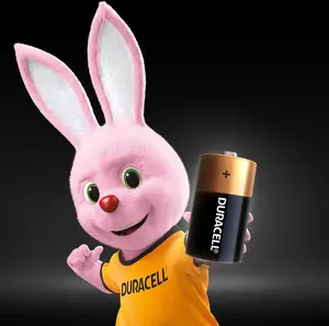 Батарейки R14 Duracell (У-019089). Фото 3
