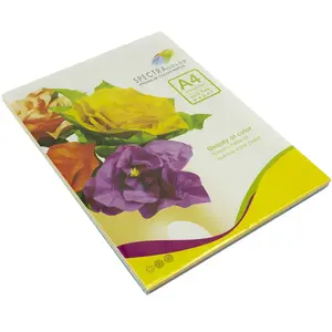 Набір кольорового паперу Spectra Color Rainbow Pack  IT 85 B А4 80г/м2 10х10х100арк.супер мікс  (16.4243). Фото 2