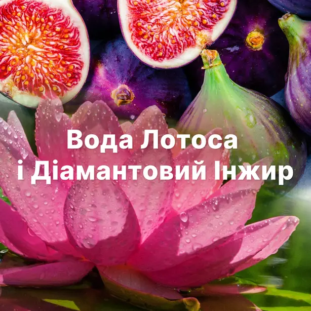 Кондиціонер для білизни Lenor Діамантовий Інжир Водяний Лотос і Вишневий цвіт 1,2 л.(80776864). Фото 3