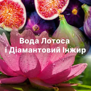 Кондиціонер для білизни Lenor Діамантовий Інжир Водяний Лотос і Вишневий цвіт 1,2 л.(80776864). Фото 3