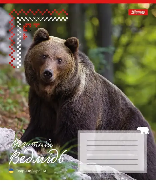 Зошит шкільний 1B Animals of Ukraine А5 18 арк. лінійка м'яка політурка (767251). Фото 3