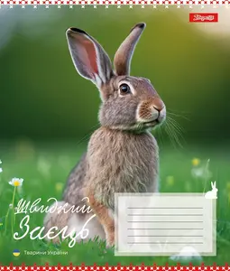 Зошит шкільний 1B Animals of Ukraine А5 18 арк. лінійка м'яка політурка (767251). Фото 6