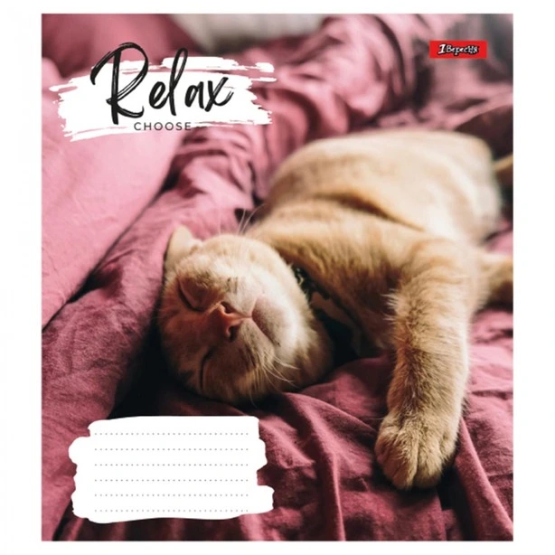 Зошит шкільний 1Вересня Relax 24арк лінія м'яка політурка (766648). Фото 5