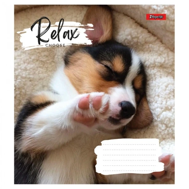 Зошит шкільний 1Вересня Relax 24арк лінія м'яка політурка (766648). Фото 4