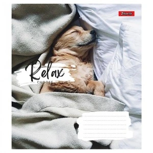 Зошит шкільний 1Вересня Relax 24арк лінія м'яка політурка (766648)