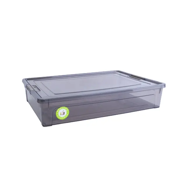 Контейнер Smart Box 5,5 л (270017)