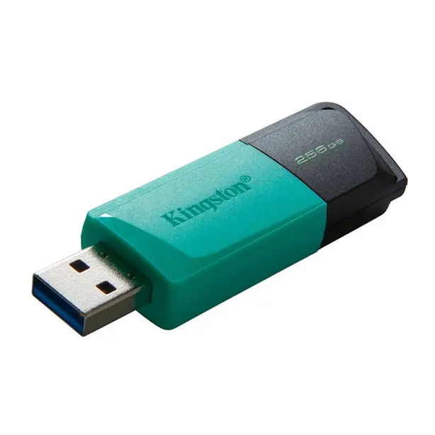 Флеш накопичувач Kingston 256GB USB 3.2 (DTXM-256GB)