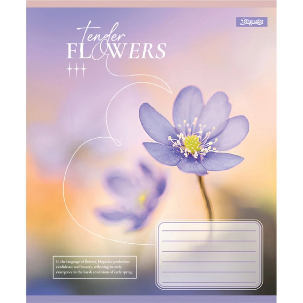 Зошит шкільний 1Вересня Tender Flowers А5 48 арк лінія м'яка політурка (768081). Фото 6