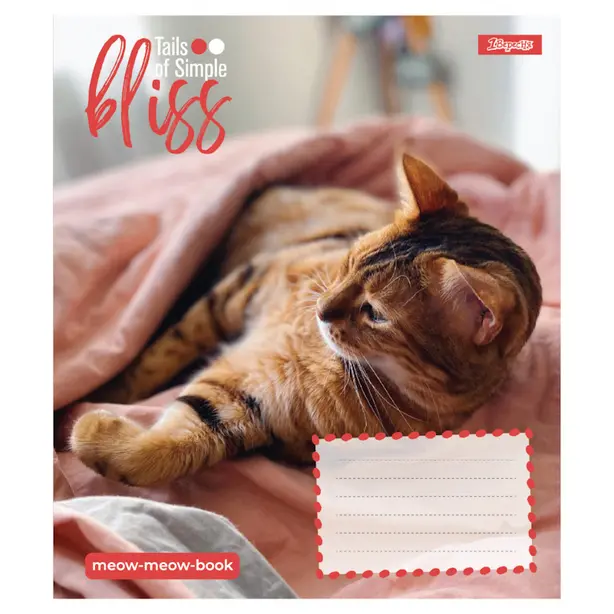 Зошит шкільний 1 Вересня Bliss А5 12 арк.клітинка м'яка політурка (768051). Фото 5