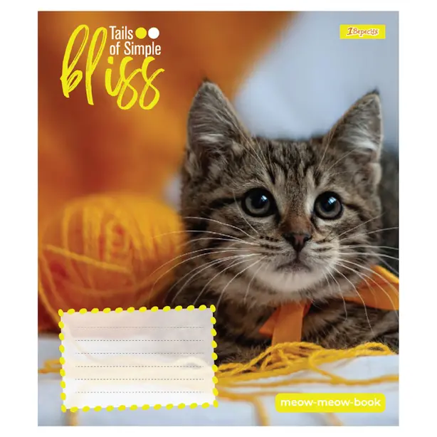Зошит шкільний 1 Вересня Bliss А5 12 арк.клітинка м'яка політурка (768051). Фото 3
