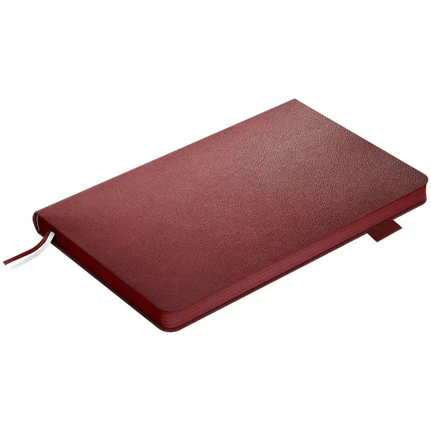 Щоденник датований Axent Partner Soft Muse145х210 мм бордовий м'яка обкладинка (8827-27-1-A). Фото 5