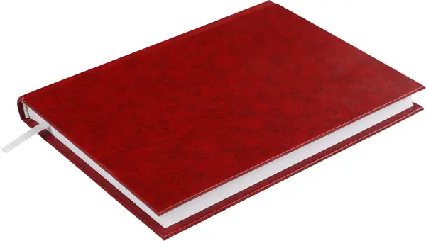 Щоденник недатований Buromax EXPERT A5 288 арк. бумвініл поролон бордовий (BM.2004-13)