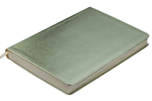 Щоденник недатований METALLIC, A5, 288 стор., золото