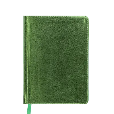 Щоденник недатований METALLIC, A6, 288 стор., салатовий