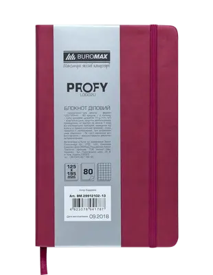 Блокнот PROFY L2U 125x195мм 80арк. клітинка тверда палітурка штучна шкіра фіолетова (BM.29912102-13)