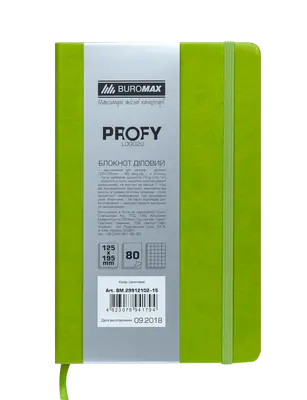 Блокнот PROFY L2U 125x195мм 80арк. клітинка тверда палітурка штучна шкіра зелений (BM.29912102-15)