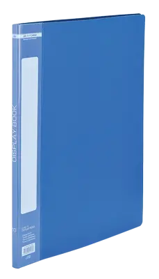Папка з 10 файлами Buromax синій А4 файл 30 мкм. (BM.3601-02)