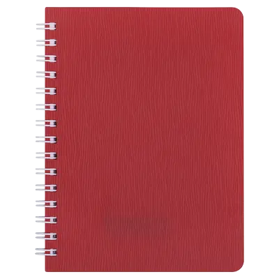 Книжка записна Buromax "BARK" А6 60 арк. клітинка пластикова політурка на пружині (BM.24654154-05)