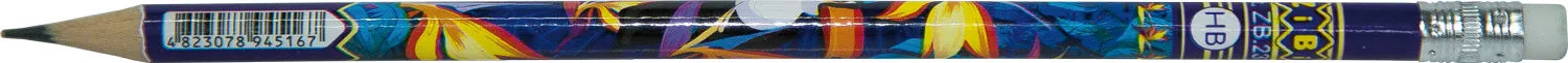 Олівець чорнографітний ZiBi асорті дерев'яний круглий HB з гумкою (ZB.2313)