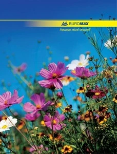 Зошит офісний Buromax А4 96 арк. клітинка тверда палітурка асорті (BM.2400)