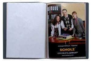 Папка з 60 файлами SCHOLZ сірий A4 файл 20 мкм. (6504)