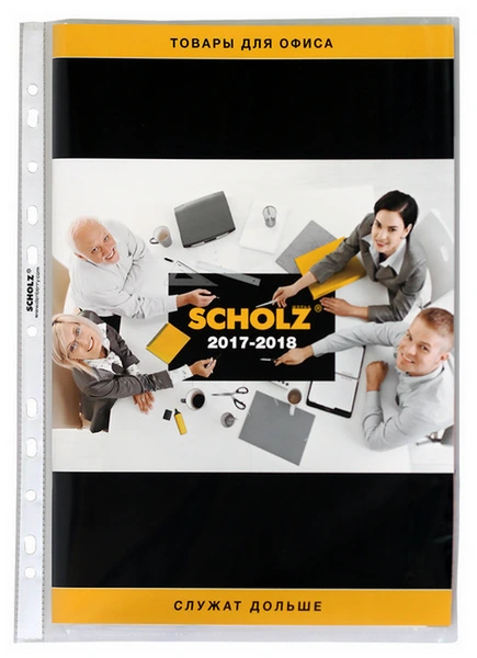Файл для документів SCHOLZ А4 40 мкм. фактура глянец прозорий 100 шт. (5105)