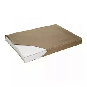 Ватман А3 170г/м2 250 арк (16.7649)