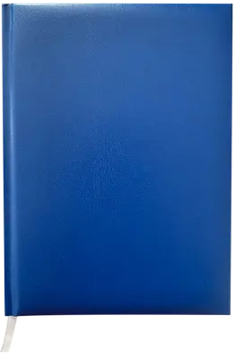 Щоденник недатований Buromax Master А5 288 арк. штучна шкіра клітинка синій (BM.2003-02)