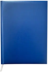 Щоденник недатований Buromax Master А5 288 арк. штучна шкіра клітинка синій (BM.2003-02)
