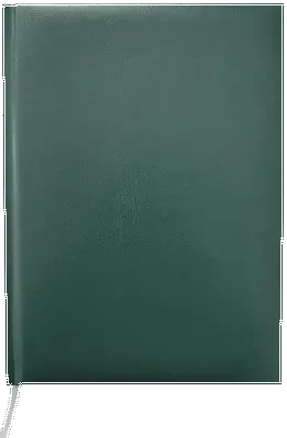 Щоденник недатований Buromax Master А5 288 арк. штучна шкіра клітинка зелений (BM.2003-04)