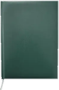 Щоденник недатований Buromax Master А5 288 арк. штучна шкіра клітинка зелений (BM.2003-04)