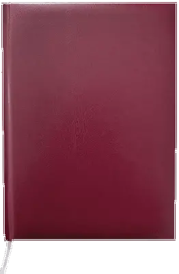 Щоденник недатований Buromax Master А5 288 арк. штучна шкіра клітинка бордовий (BM.2003-13)