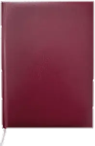 Щоденник недатований Buromax Master А5 288 арк. штучна шкіра клітинка бордовий (BM.2003-13)